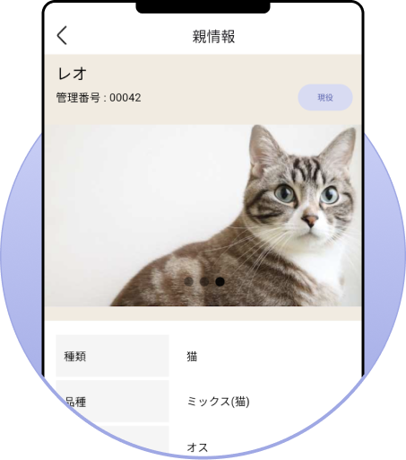 親犬・猫の登録画面イメージ