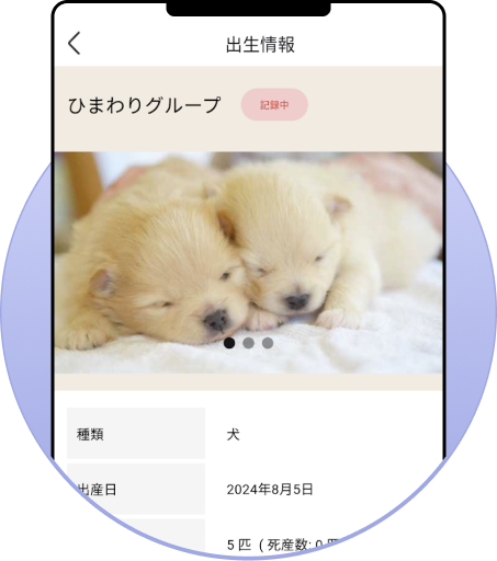 子犬・猫の登録画面イメージ